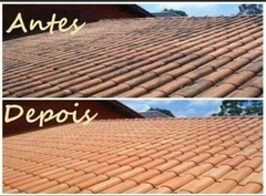Banner da categoria Limpeza De Telhado