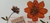Banner rotativo 7