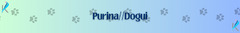 Banner de la categoría Dogui