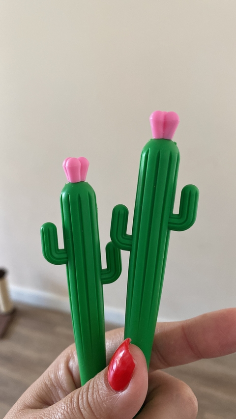 Caneta Cacto sertão