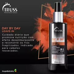 Truss Day By Day - Leave-in 250ml na internet