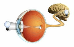 Banner de la categoría VISION