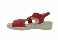 366724 ROJO MEZCALA en internet