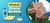 Banner rotativo 1