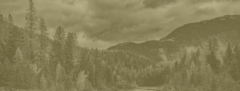 Banner de la categoría Tags Dooble Capa