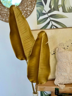 Hoja de Strelitzia - PuntoP Home y Deco