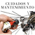 Imagen del carrusel 8