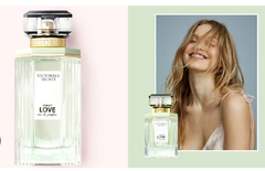 Banner da categoria Perfumes