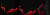 Banner rotativo 2