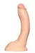PAUL - REALISTIC - REC  22X5CM - CORES: BEGE - comprar online