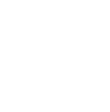usebizurock