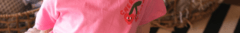 Banner de la categoría Productos