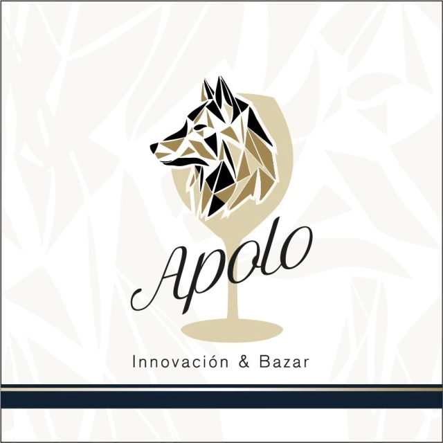 APOLO BAZAR
