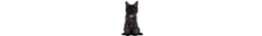 Banner de la categoría Maine Coon