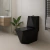Vaso Sanitário Monobloco Preto PEX Maximus produzido em Cerâmica na internet