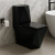 Imagem do Vaso Sanitário Monobloco Preto PEX Maximus produzido em Cerâmica