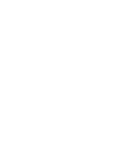 Santa Fiori