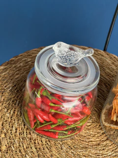 Pote bird classic 600ml - comprar online