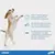 ONSIOR 40 MG/ 20KG - VidaVet Pet Center | Cuidados e Produtos para seu Pet