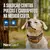 NEXGARD 25,1 A 50KG - VidaVet Pet Center | Cuidados e Produtos para seu Pet