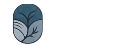 BSMIX