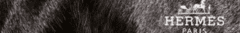 Banner da categoria Hermes