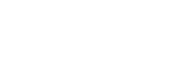 IRON COMPANY