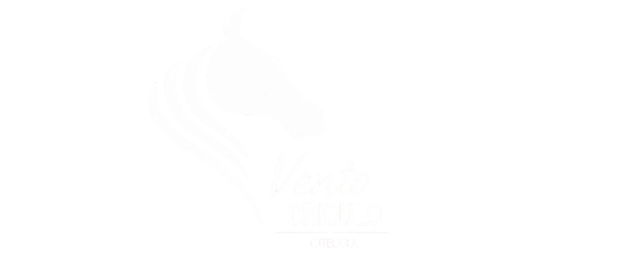 Vento Crioulo Cutelaria