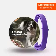 Colar Anti Pulgas e Carrapatos na internet