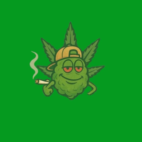 En El Aire Growshop