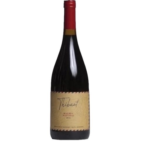 Thibaut Delmotte Malbec Natural 2020 x750ml