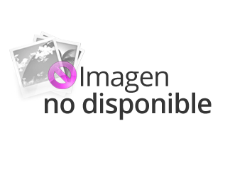 ECOPET REPUESTO ESPONJA PARA FILTRO