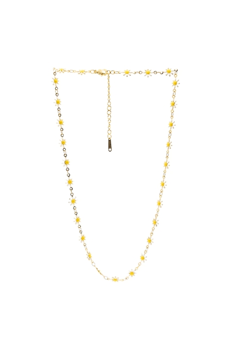 collar Daisy