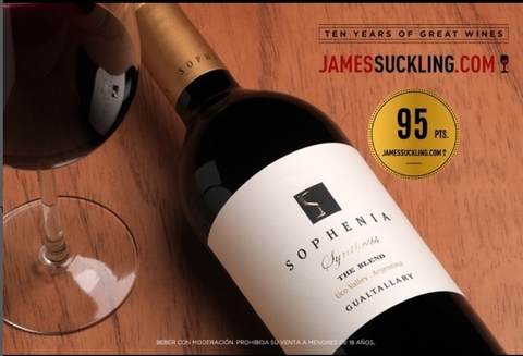 FINCA SOPHENIA SYNTHESIS BLEND