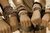 Imagem do banner rotativo FLORIPPIE