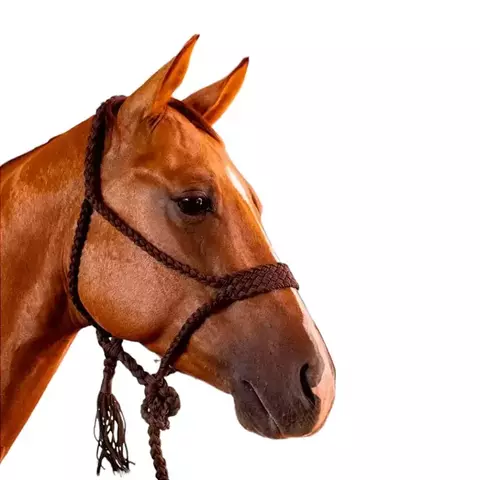 Cabresto Com Cabo Trançado de Paracord -cod:3852 - comprar online