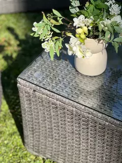 set molly en internet