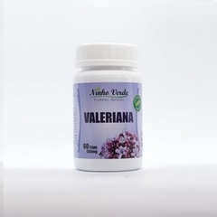 Banner da categoria Valeriana 120 Caps 500mg Rei Terra