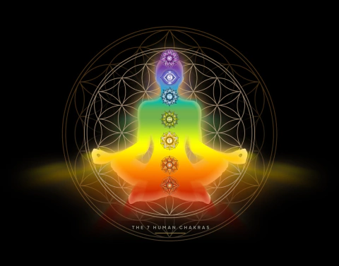 Imagen del carrusel 5