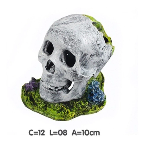 Enfeite Crânio - D13 - Aquária Enfeite Crânio - D13 - Aquária