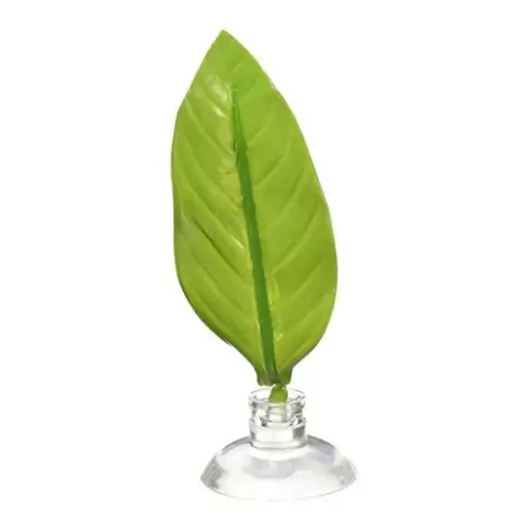 Folha Para Descanso para Bettas Zoomed