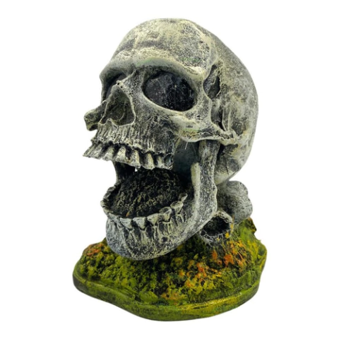 Enfeite Crânio Abre e Fecha - PM11 - Aquária