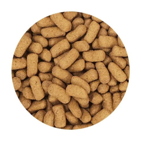 Ração Poytara Carnívoros de Superfície 310g