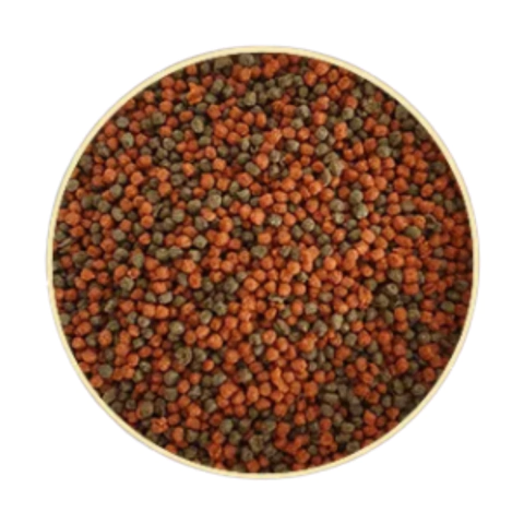 Ração Poytara Black Line Betta 14g