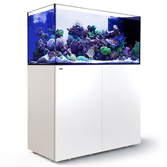 Aquario Red Sea Reef System c/ Movel - Reefer 500 Peninsula Aquario Red Sea Reef System c/ Movel - Reefer 500 Peninsula