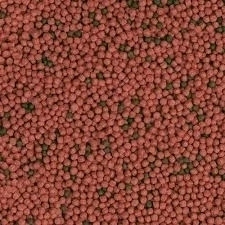 Ração Sera Raffy Baby Gran 32g