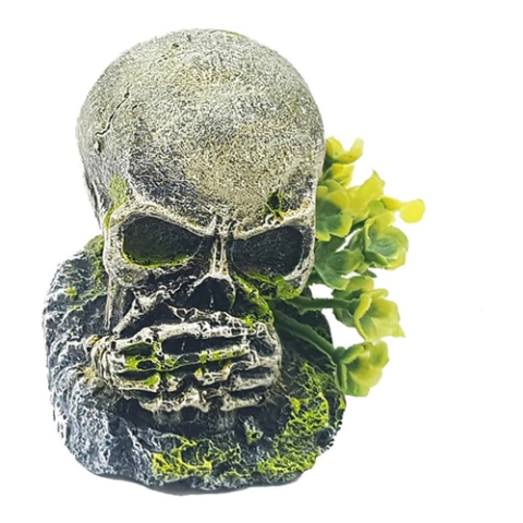 Enfeite Crânio Não Falo - D24 - Aquária