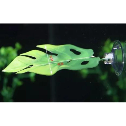 Cama de Betta - Lester