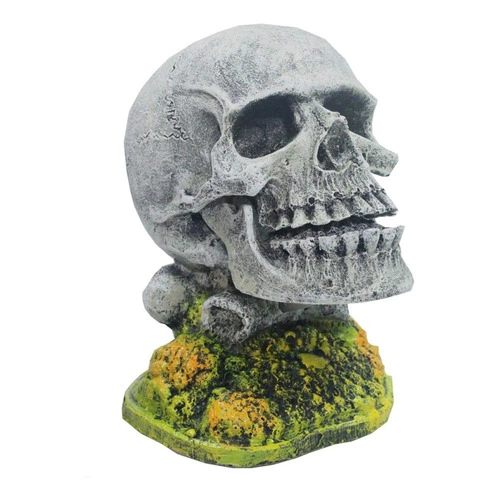 Enfeite Crânio Abre e Fecha - PM11 - Aquária Enfeite Crânio Abre e Fecha - PM11 - Aquária