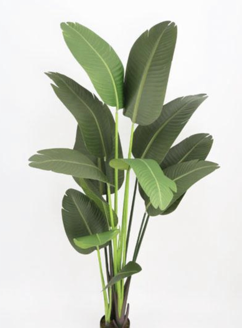 Planta Artificial Strelitzia 1,80 MT